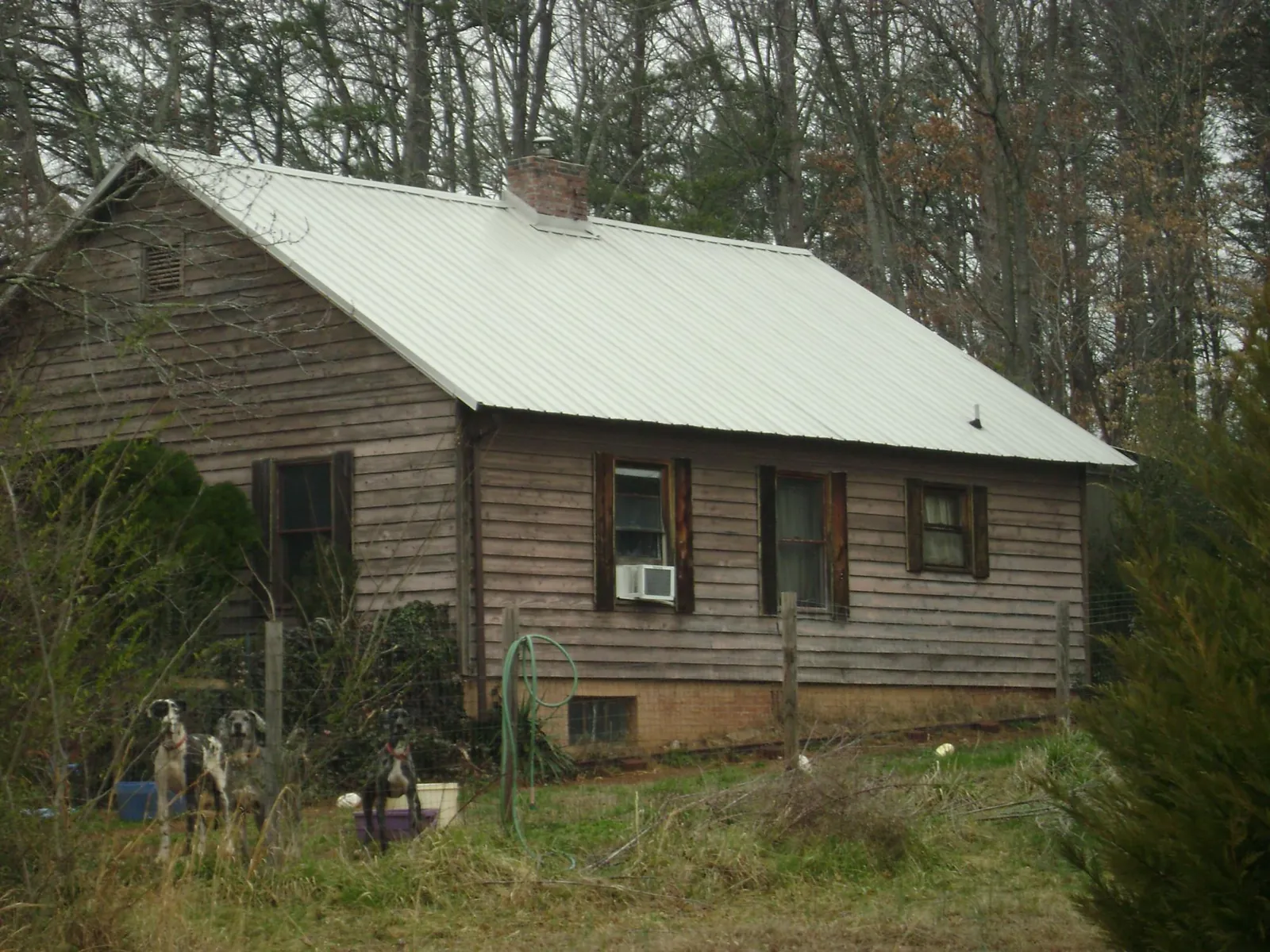 White metal roof on an old wood sided farmhouse, from a Metal Roof Installation job in Westcliffe